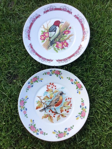 Vintage fine bone - fine,