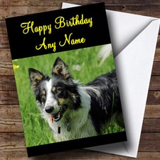 Welsh Sheepdog Personalised