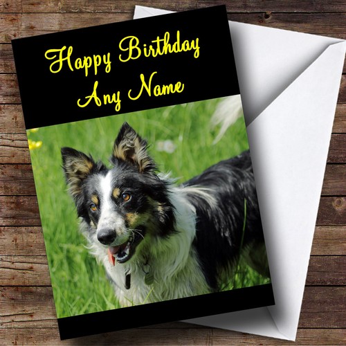 Welsh sheepdog personalised - sheepdog,