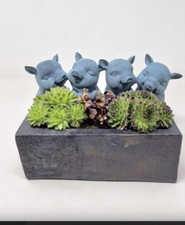 PIGS WITH TROUGH PLANTER