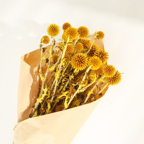 Heads preserved flower - preserved,