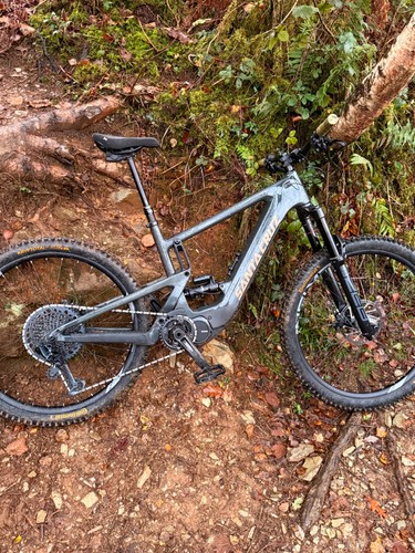 Santa cruz heckler e - santa,