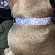 MINI R50 R52 R56 R55 COOPER