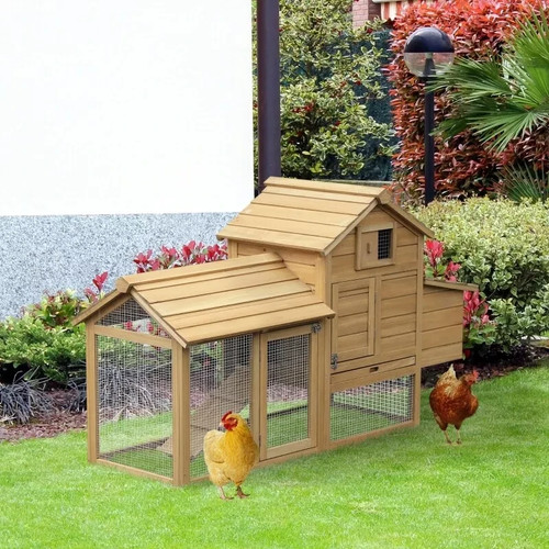Outdoor chicken coop run - chicken,