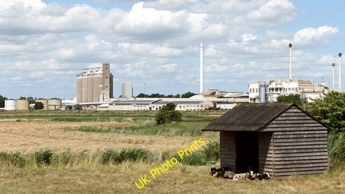 Photo 6x4 sheep shelter - 6x4,