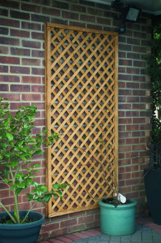 Forest garden fence - fence, top
