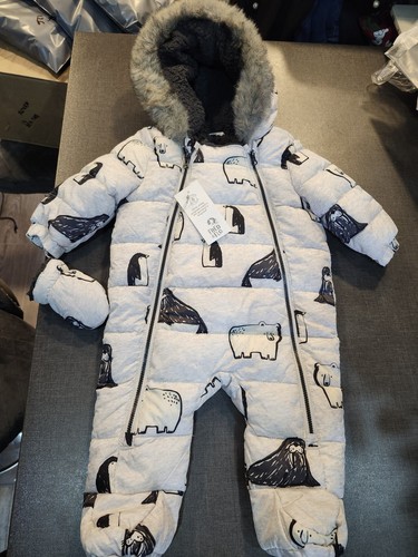 Boy months polar - polar, artic