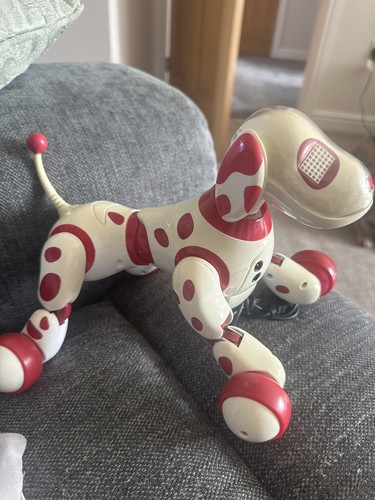 Zoomer interactive robotic - ,