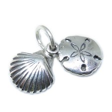 TINY seashell & sand dollar