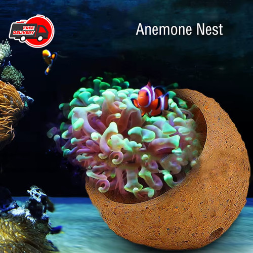 Hand made aquarium reef - made, tank