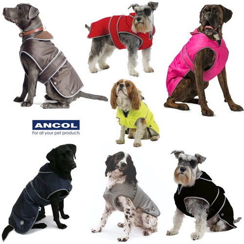 Dog coat waterproof ancol - dog,
