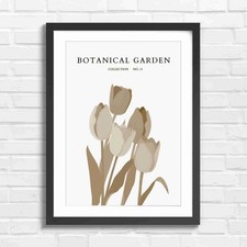 Multicolor Tulips Botanical