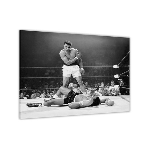 Muhammad ali knockout canvas - muhammad,