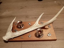 Genuine Stag Horn antler