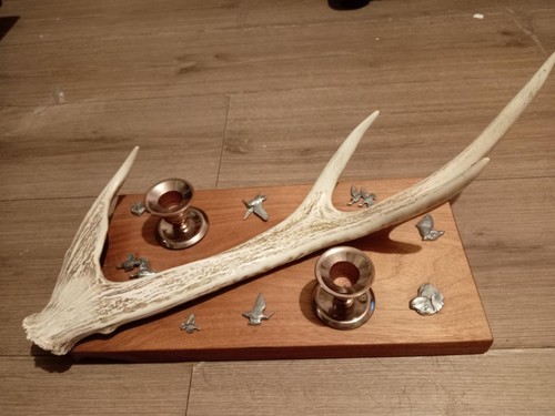 Genuine stag horn antler - stag,