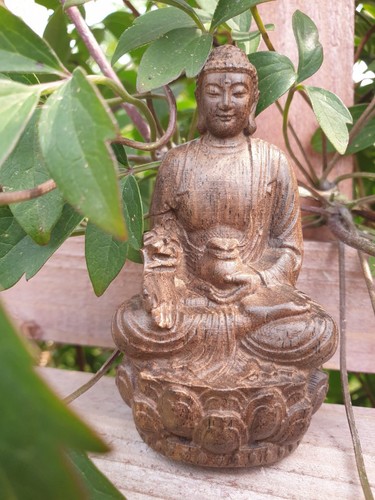 Beautiful wooden carved buddha - wooden,