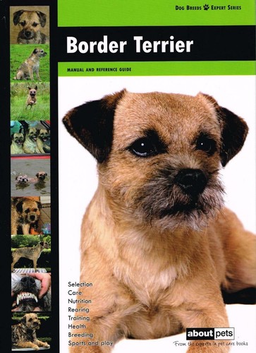 Border terrier about - ,