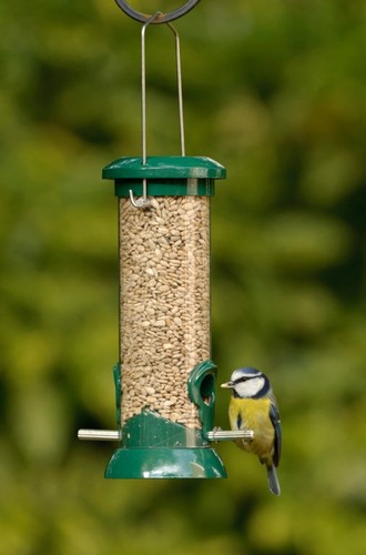 Rspb easy clean seed - rspb,