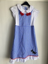 Dorothy Fancy Dress Wizard Of