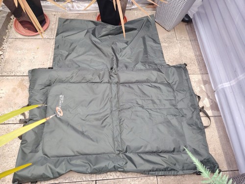 Cyprinus carp fishing - cyprinus,
