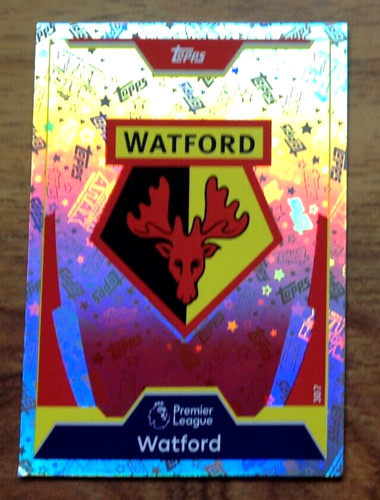 Watford 307 match attax - watford,