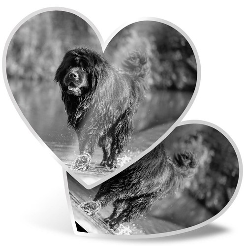 Heart stickers bw - 2, x