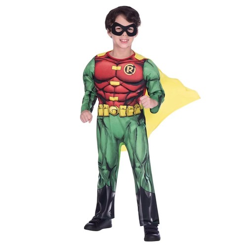 Deluxe batman robin fancy - robin,