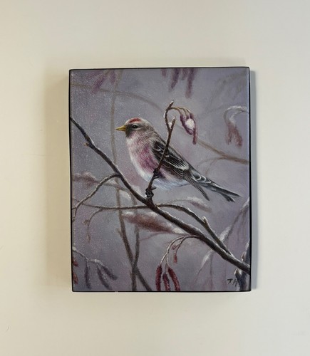 Painting common redpoll - painting,