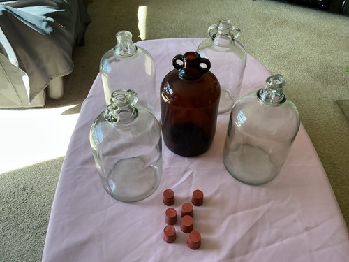 Glass demijohn one - glass,