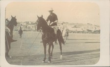 real photo polo game horses 