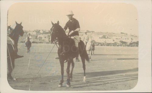 Real photo polo game horses - polo,