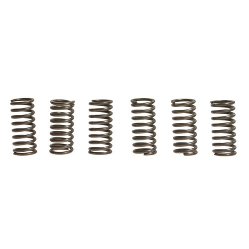 Clutch springs ebc rinf - springs, +10