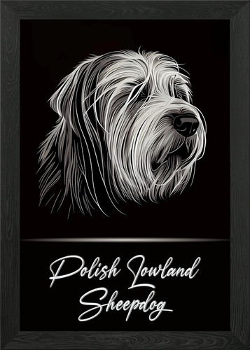 Polish lowland sheepdog framed - polish,