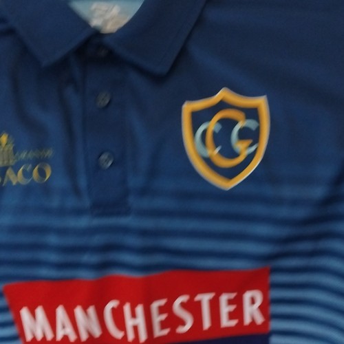 Blue gaa adults short - blue,