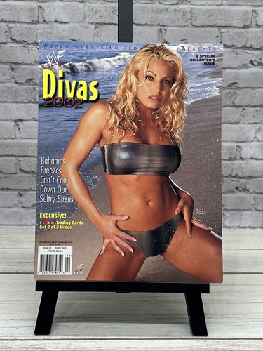 Wwf divas magazine - magazine, 2002