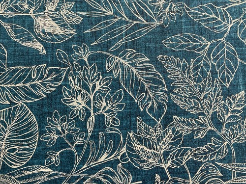 Renwick leaf fern - leaf,