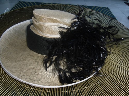 Beautiful feather nigel - beautiful,