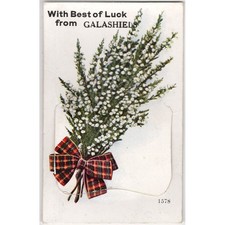 GALASHIELS Selkirkshire Best of Luck Novelty Pull Out Postcard, Unused