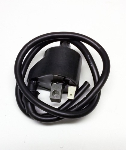 Dirt racing coil ignition - racing,