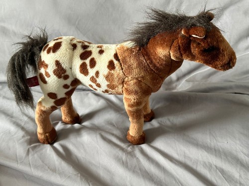 Dpl leeds ltd - appaloosa, horse
