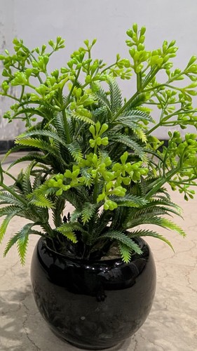 Artificial greenery plant - plant, faux