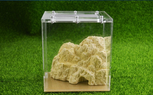 Natural acrylic ant farm - ant,