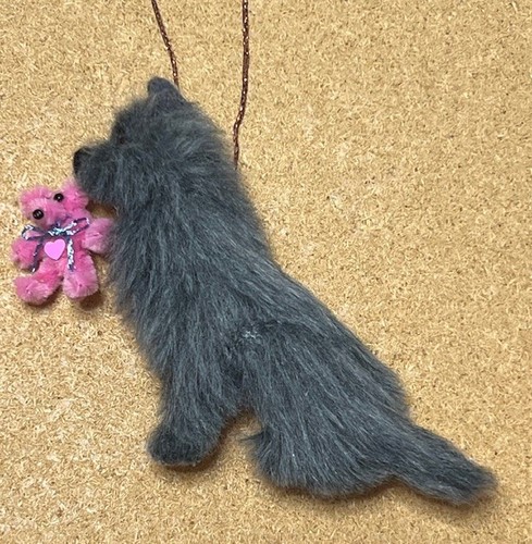 Grey cairn terrier with - cairn, a