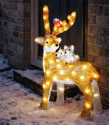 Christmas reindeer robin - reindeer, led