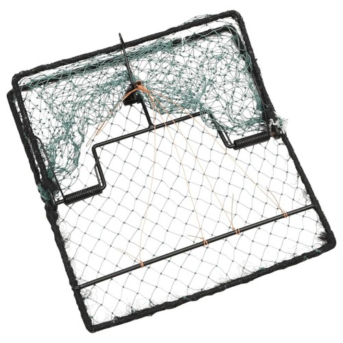 Bird trap humane - trap,