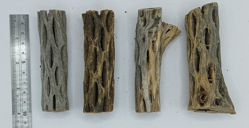 Cholla cactus wood - 4, x
