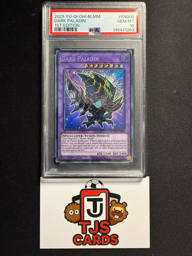Dark paladin psa secret - paladin,