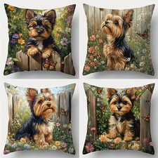 Beautiful 4 pieces set  cat