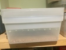 LIVE  MEALWORM / SELF  SORTING DARKLING BEETLE BREEDING TRAYS -  MEALWORM FARM