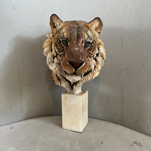 Bengel tiger head bust - head,